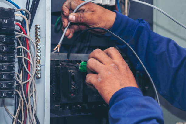 Best Home Electrical Repair  in Lynwood, IL