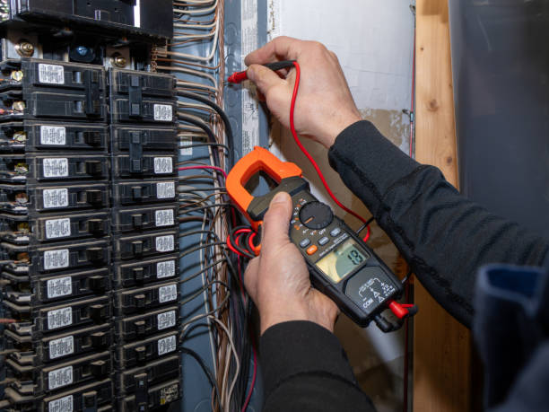 Best Electric Panel Repair  in Lynwood, IL